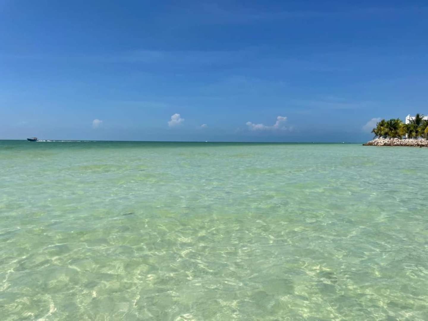 Pool View Loft Steps From The Ocean In Punta Cocos - C101 Hotel Isla Holbox Kültér fotó