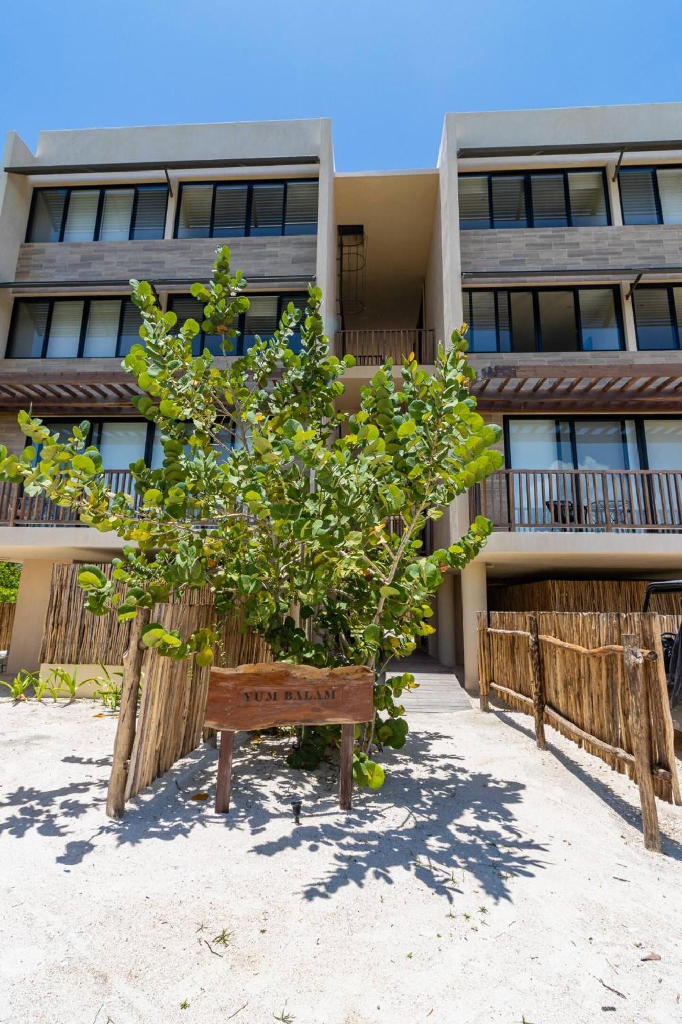 Pool View Loft Steps From The Ocean In Punta Cocos - C101 Hotel Isla Holbox Kültér fotó